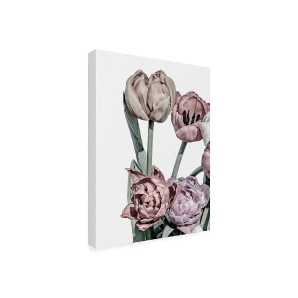 Design Fabrikken 'Tulips Bright 2 Fabrikken' Canvas Art,18x24